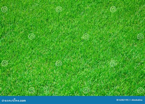 Grass On Football Stadium Royalty Free Stock Photo - Image: 6282195