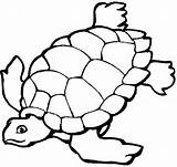 Water Animals Coloring Pages At GetColoringscom  Free Printable sketch template