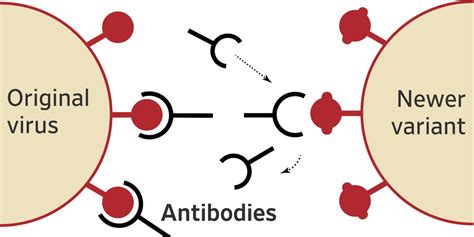 Covid-19 Variants Keep Getting More Contagious. Here’s Why. - WSJ