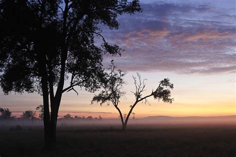 Sunrise on the Masai Mara Photograph by Michele Burgess - Fine Art America