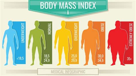 Severe obesity increases risk of early death by 50%, study finds | UK ...