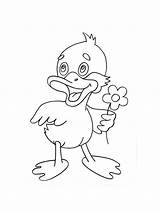 Duckling coloring pages sketch template