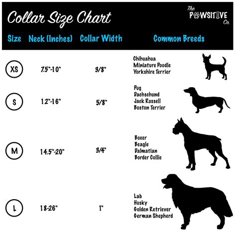 Puppy Collar Size Chart By Breed / The Comfort Collar Ultra Soft Neoprene Padded Dog Collar For ...