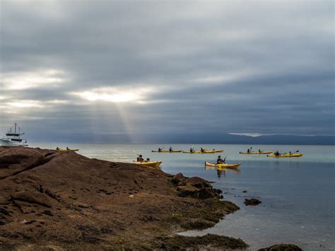 A spectacular way to see Coles Bay, Tasmania: kayaking with Freycinet ...