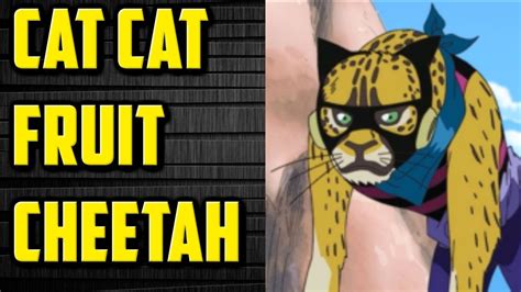 Cat Cat Fruit Model: Cheetah Explained - One Piece Devil Fruit - YouTube