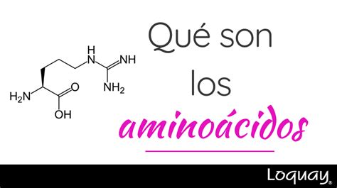 ¿Conoces que son los aminoácidos?