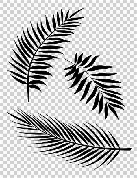 Premium Vector | Palm leaves vector illustration set of realistic palm ...