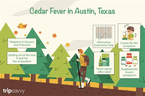 Cedar Fever: What to Know For Your Trip to Austin