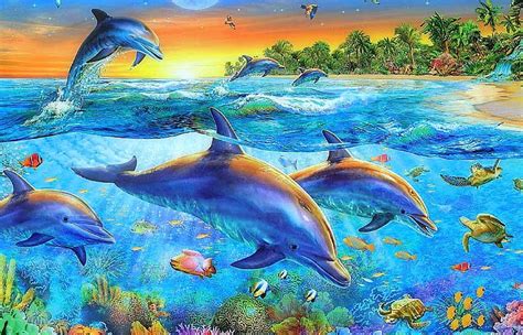 Beaches-sea-turtles-attractions-birds-underwater-dolphins-creative ...