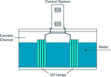 Can A Uv Light Disinfection Water | Shelly Lighting