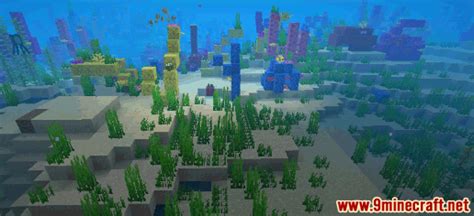 Warm Ocean Biome - Wiki Guide - 9Minecraft.Net