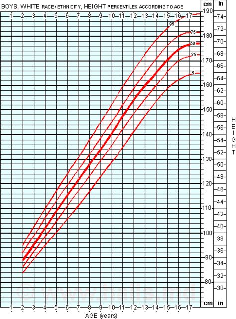 The growth chart of average height for boys