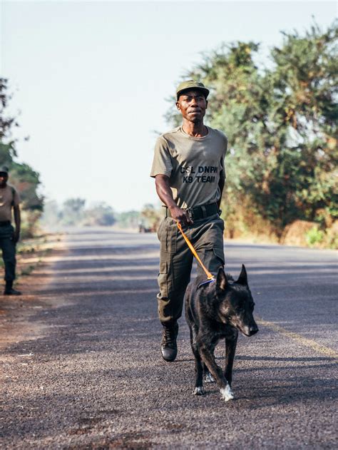 K9 Unit — Conservation South Luangwa