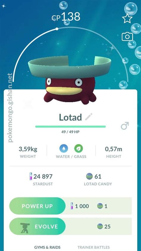 Lotad - Pokemon Go