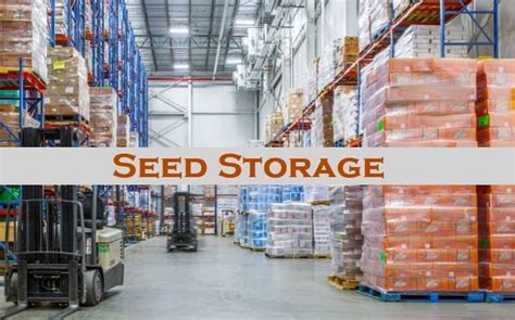 Seed Storage Definition, Purpose, Importance, Condition - Basic ...