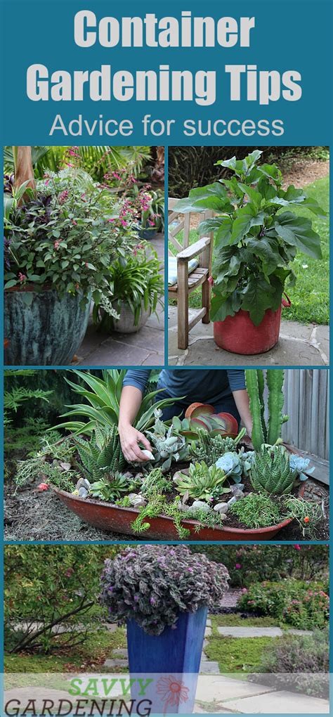 Container Gardening Tip List: Advice to Help You Succeed