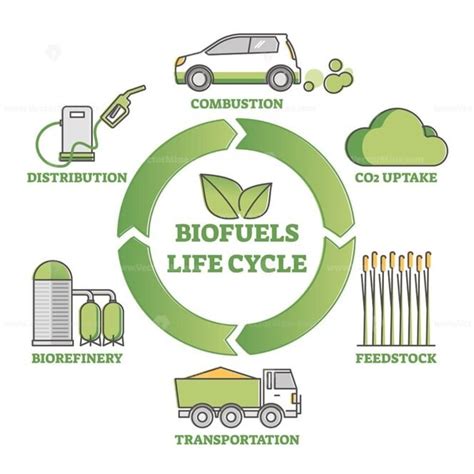 Biofuel life cycle diagram as production, consumption process outline ...