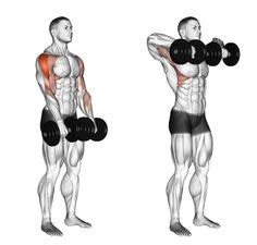 160 Boulder Shoulders ideas | shoulder workout, workout routine ...