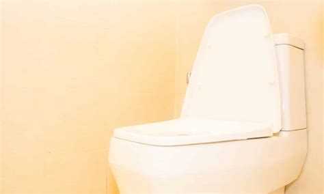 What Shape of Toilet Seat is Best? - Easy Toilet Tips