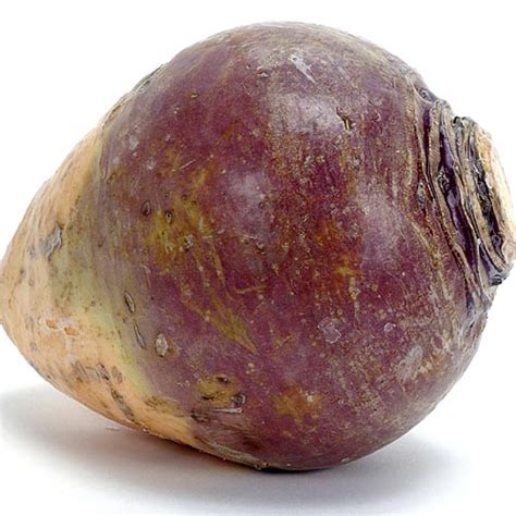 Seed to Feed Me: WHAT IS THE DIFFERENCE BETWEEN A TURNIP AND A SWEDE?