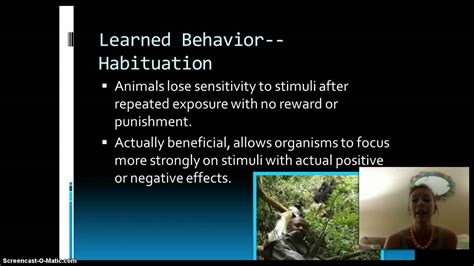 AP Biology Animal Behavior - YouTube