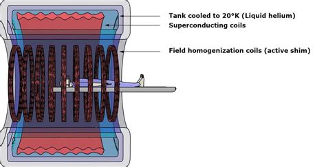 MRI instrumentation and safety: MRI main magnet | e-MRI