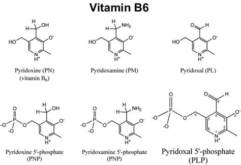 Pyridoxine hydrochloride, uses, safety, side effects