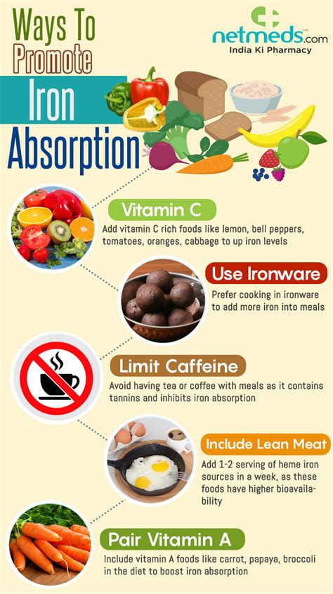 5 Foods To Enrich Iron Absorption Into The System - Infographic