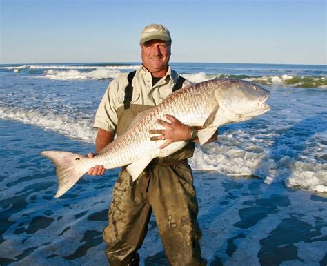 Big Fish in the VA Surf - Ocean City MD Fishing