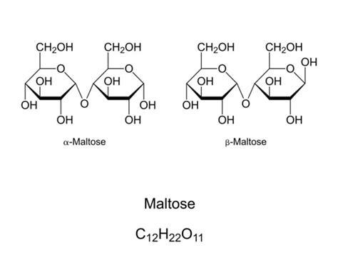 Maltoza Imágenes Vectoriales, Gráfico Vectorial de Maltoza | Depositphotos