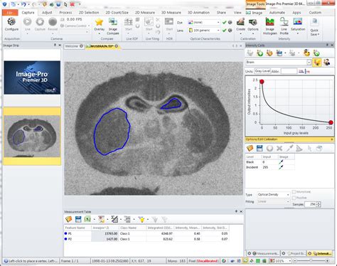 Optical density calculation — Media Cybernetics Image Analysis Forums