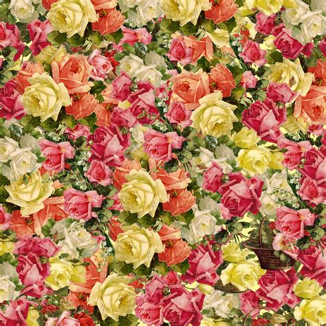 🔥 [40+] Victorian Rose Wallpapers | WallpaperSafari