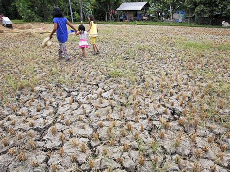 2016 will be 'hottest year on record' | The Independent