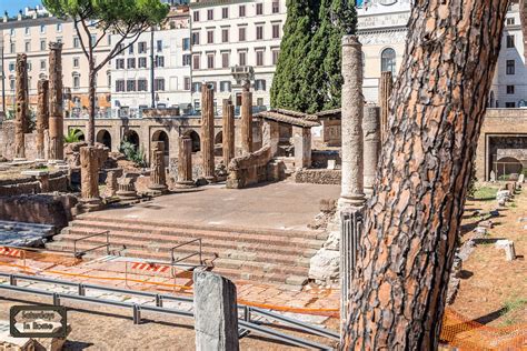 The Cat Sanctuary Among The Rome Ruins