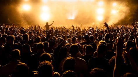 Premium Photo | Rear view of large group of people having fun at music ...