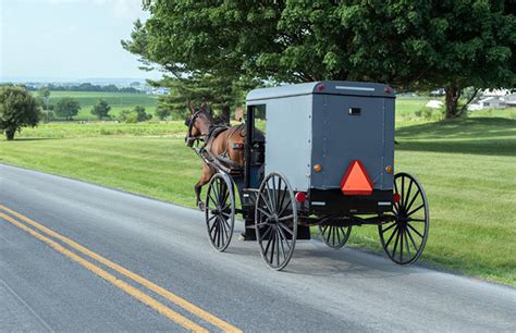 5 Reasons to Visit Amish Country. Attractions, Restaurants, Shopping ...