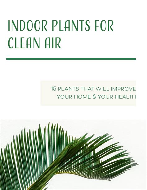 Plants for Clean Air on Behance