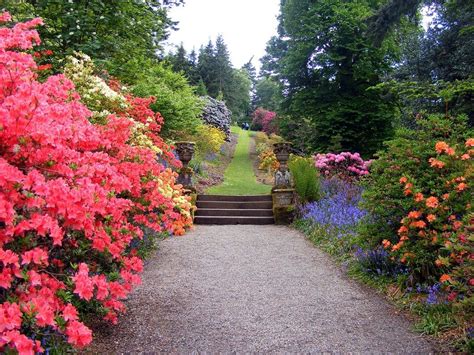 Fall Flowers