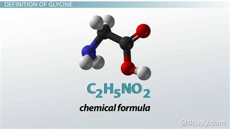 Glycine Overview, Structure & Formula - Lesson | Study.com