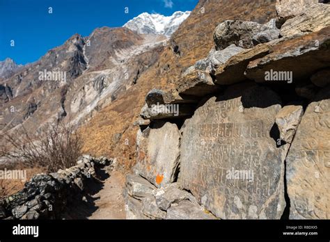 A mani wall with Buddhist inscriptions on the Langtang Valley Trek ...