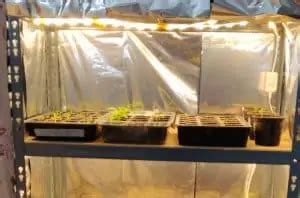 Diy Grow Tent: 12 Easy Yet Inexpensive Grow Box Ideas You Can Build