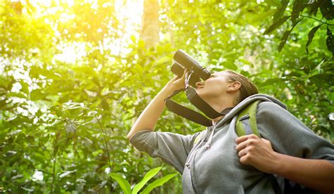 Best Birding Binoculars: Expert's Top Recommendations and Buying Guide