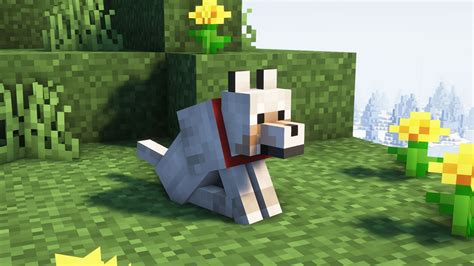 How to tame a wolf in Minecraft (2023)