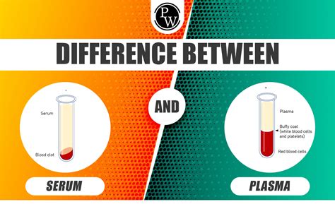 Difference Between Serum And Plasma, Definition And Functions