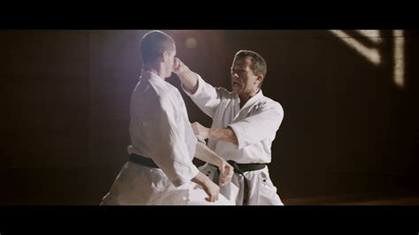 Heian Sandan Ōyō Bunkai - Master Dario Marchini - YouTube