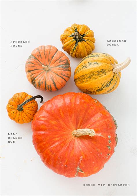 Heirloom pumpkin varieties for fall | Party + Entertaining Ideas | 100 Layer Cake