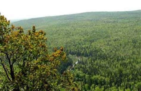 Gogebic Ridge Hiking Trail | Michigan