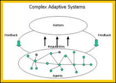 Complex Adaptive System - Assignment Point