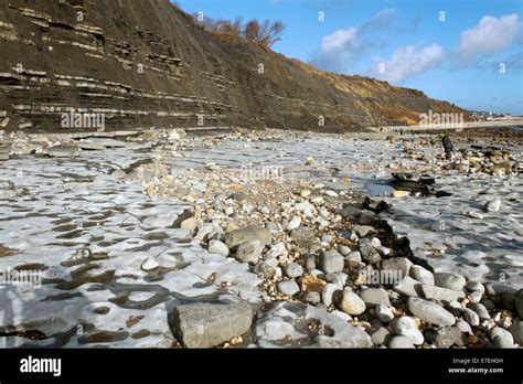 Limestone pavement in the Lower Lias formation on Monmouth Beach, Lyme ...