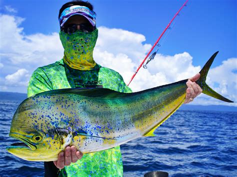 How to Catch Dorado (Mahi-mahi) - Tips for Fishing for Dorado (mahi ...